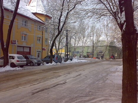 20101228087
