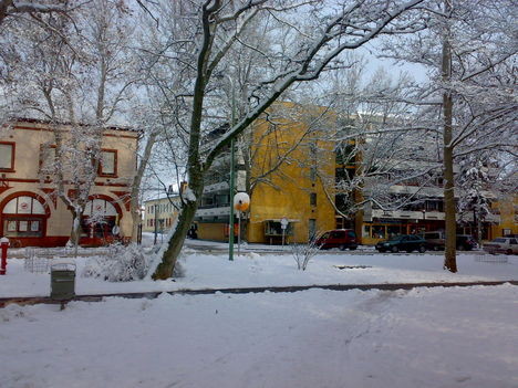 20101228088