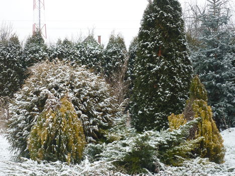 2011