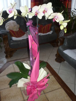 2011