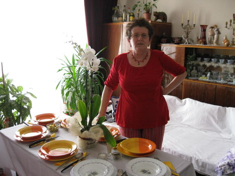 2011