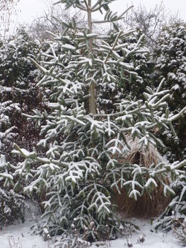 2011. február 017