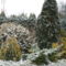 2011. február 018