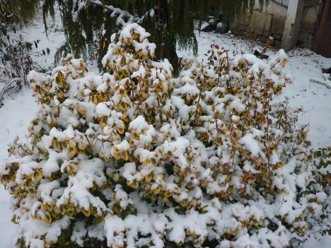 2011. február 021