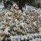 2011. február 021