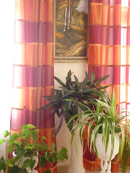 2011. február 042