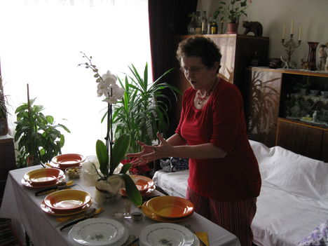 2011 zulinap