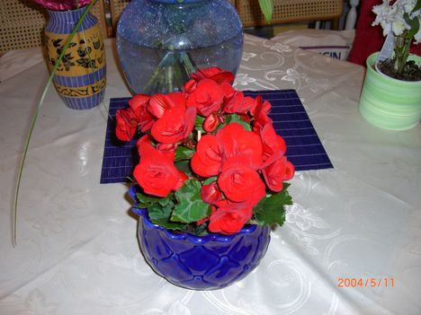 CIMG0697