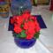 CIMG0697