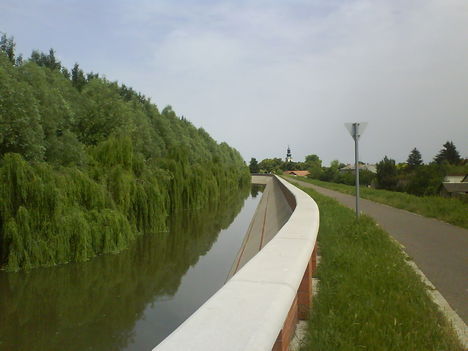 DSC00855