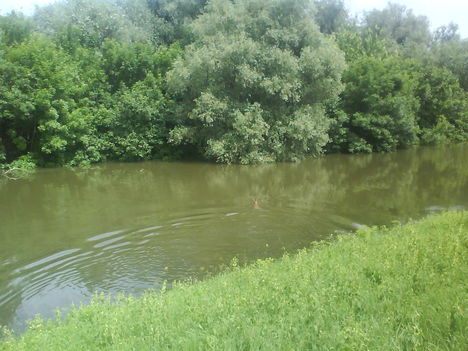 DSC00859