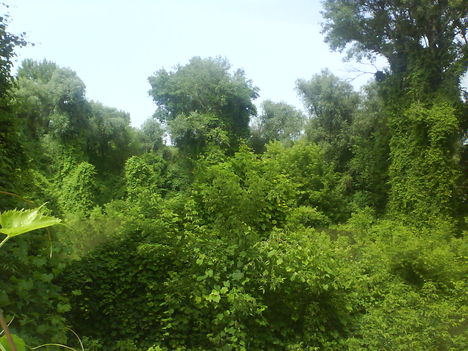 DSC00860