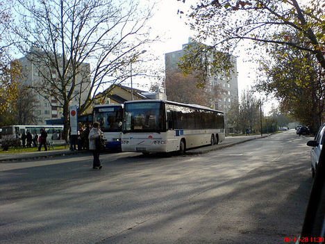DSC03489