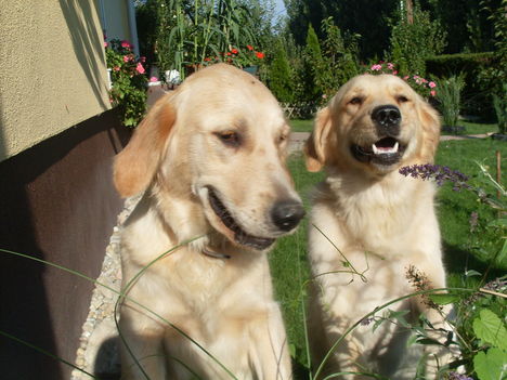 Linda&Maci(L)
