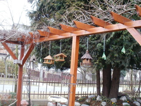 Madáretetők a pergolán 2011