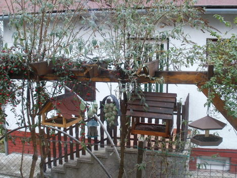 Madáretetők bentről fotózva 2011