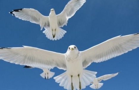 national_geographic_contest_010