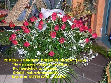 VIRÁGCSOKORReményik verssel