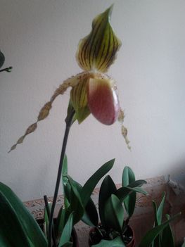 2012-02-20 16.31
