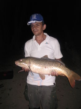 drava 2