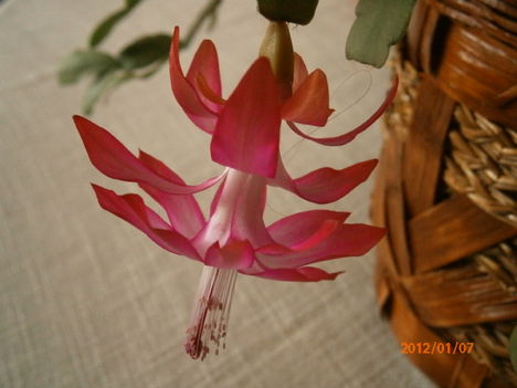P1070008