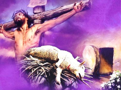 Jezus az aldozati barany