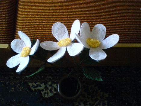 Liliomok, margaréták. 3