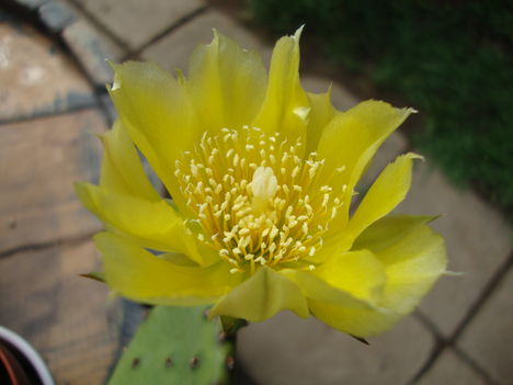 020