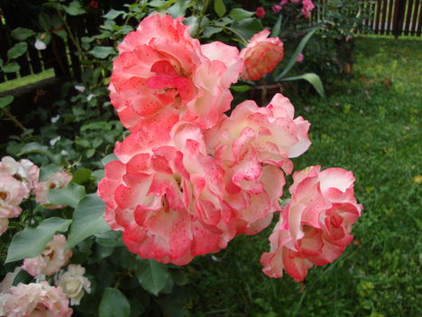 029