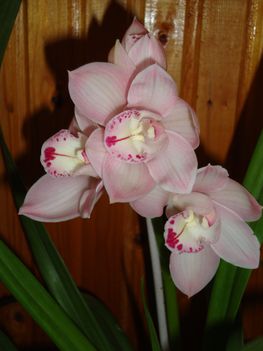 030