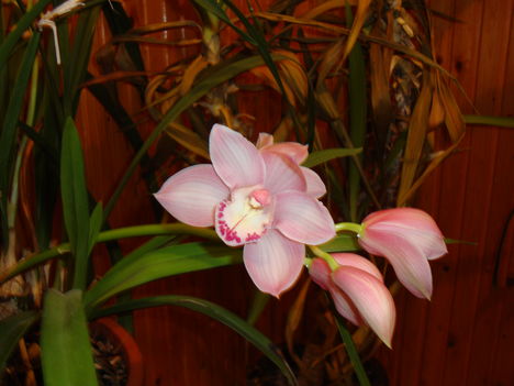 046