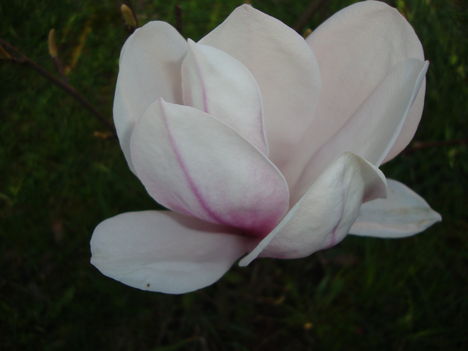 052