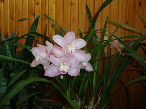 055