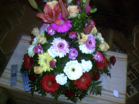 2011 11 19 090