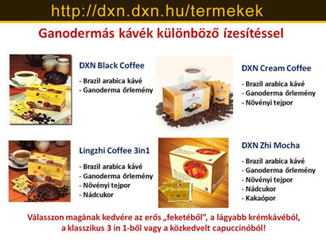 dxn_ganoderma_kavek