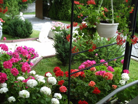 Kép2011 059