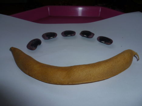 Kép 016