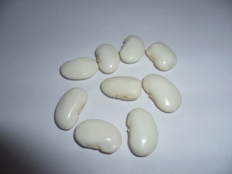 Kép 019