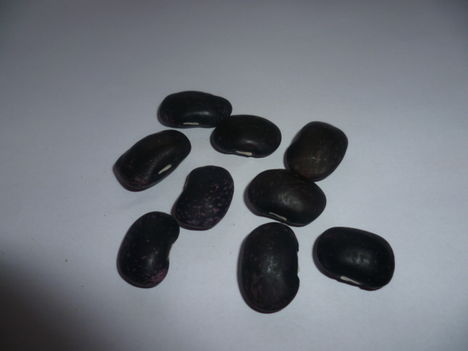 Kép 020