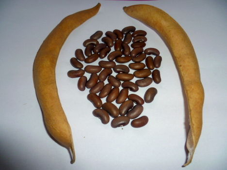 Kép 023