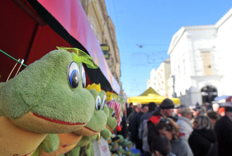 Miskolci kocsonya-fesztivál...5.