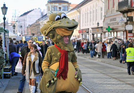 Miskolci kocsonya-fesztival...6.