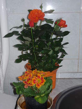 P1080495