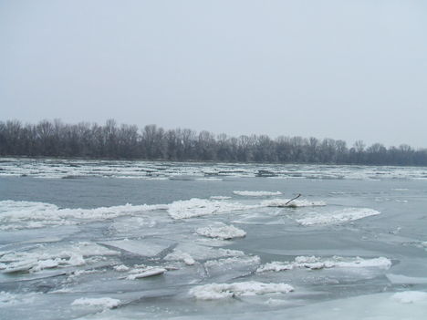 DSCF8503
