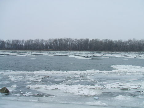 DSCF8504