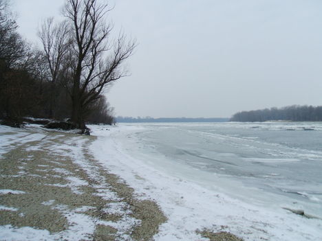 DSCF8506