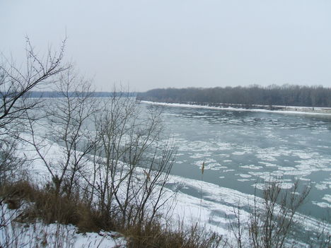 DSCF8531