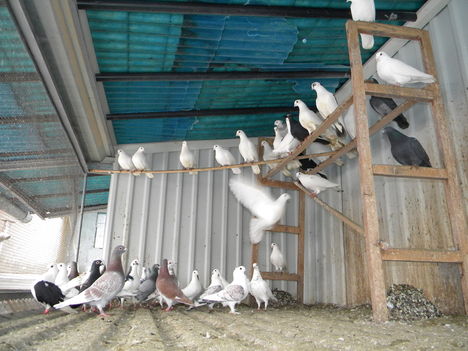 DSCN4072