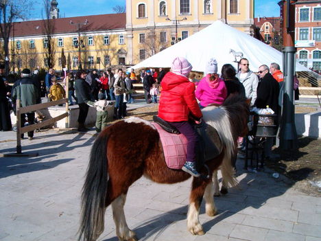 Fesztiváli hangulat...5.