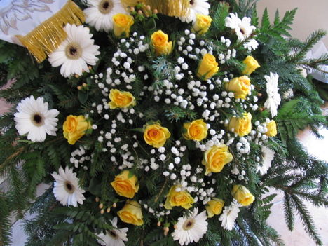 Kép 616